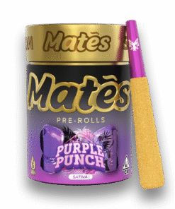 Muha Meds Purple Punch Pre Roll | Sativa