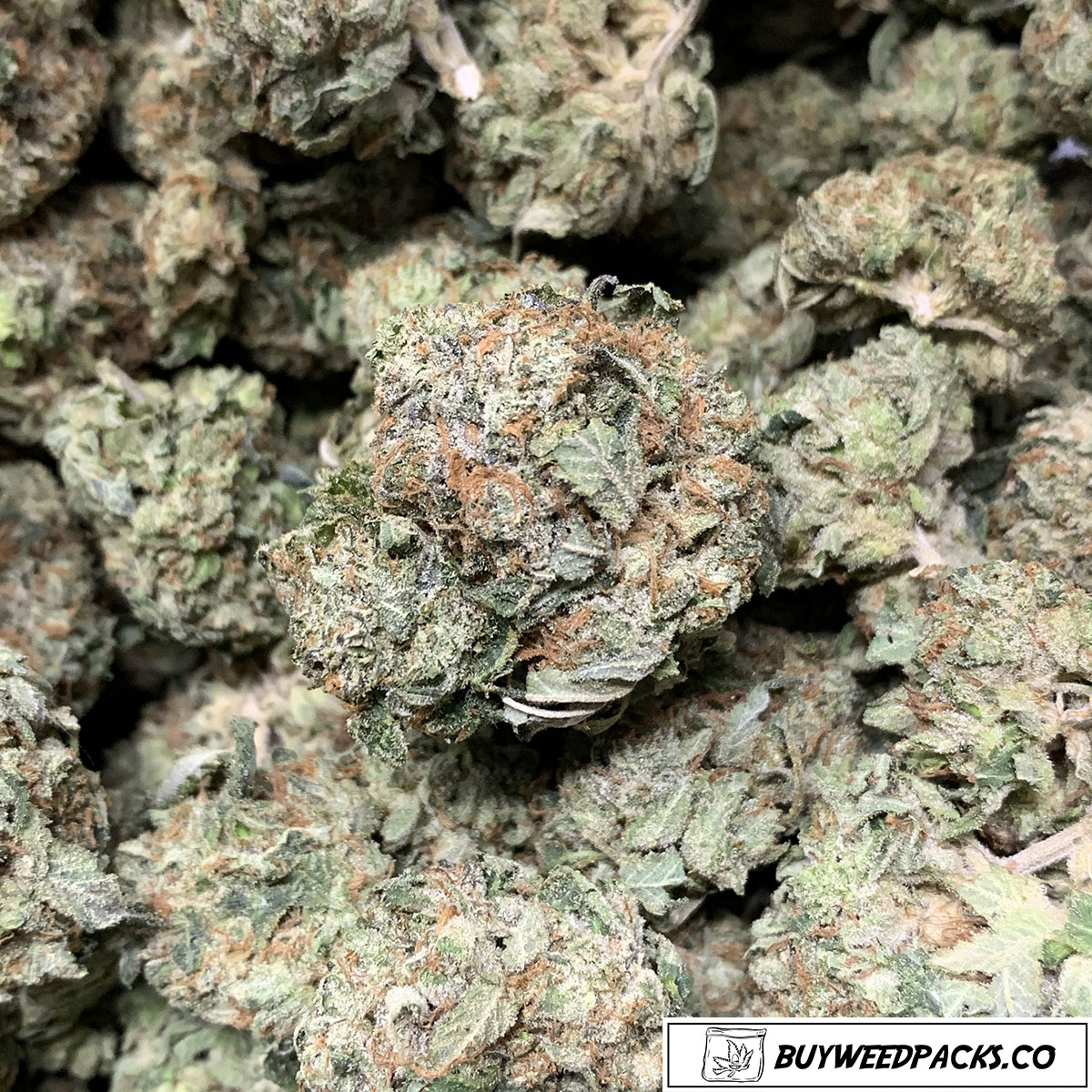 Afghan-Kush-Wholesale-Weed.jpg