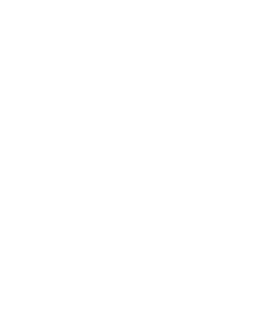 Big AL's Exotics